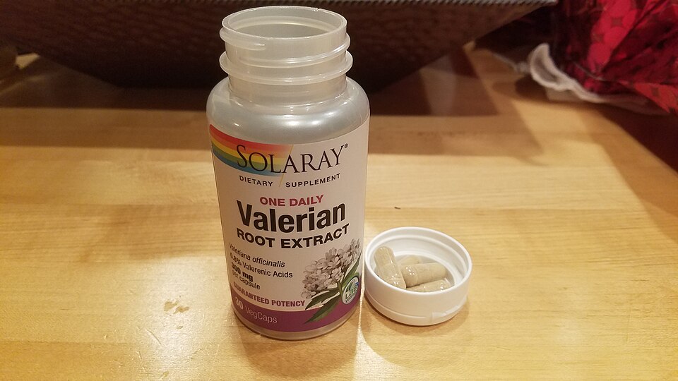 Coenzym Q10 100 mg